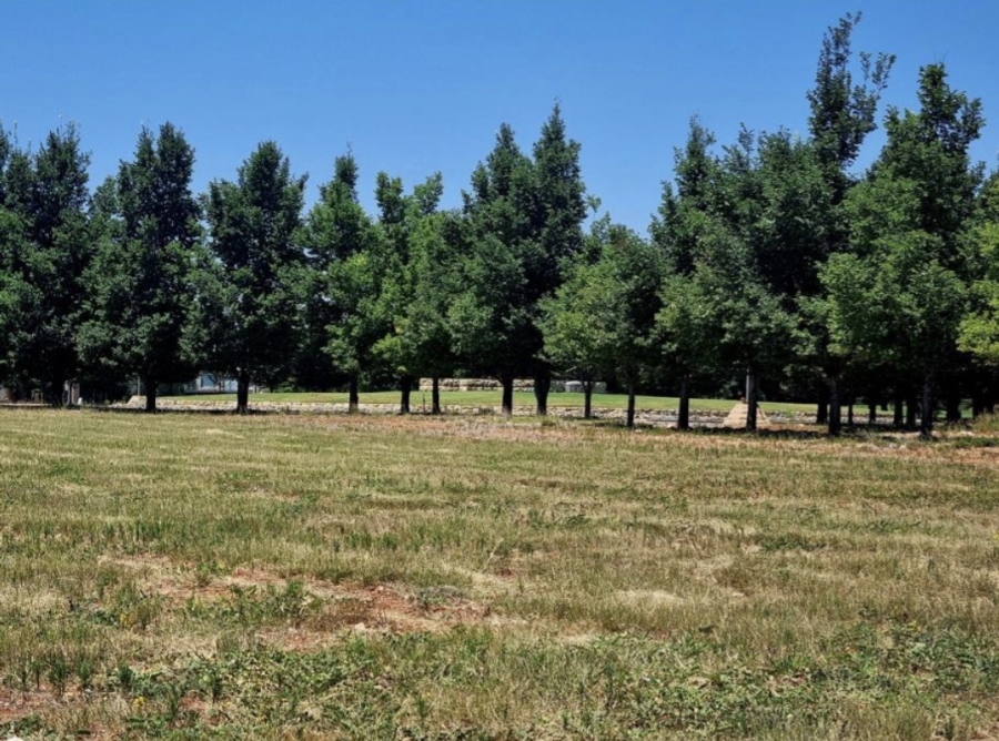 0 Bedroom Property for Sale in Magersfontein Memorial Golf Estate Northern Cape